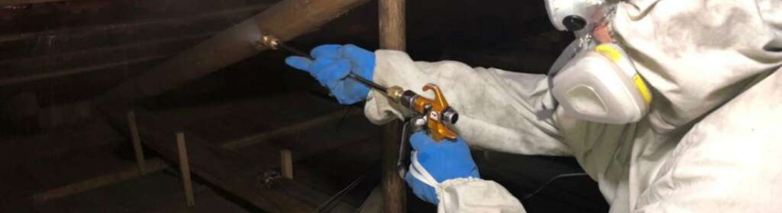 Dedetizadora em São Bernardo do Campo 24 HORAS